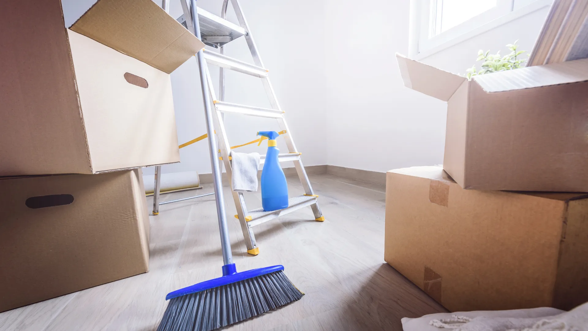Nettoyage Maisons & Appartements (5)